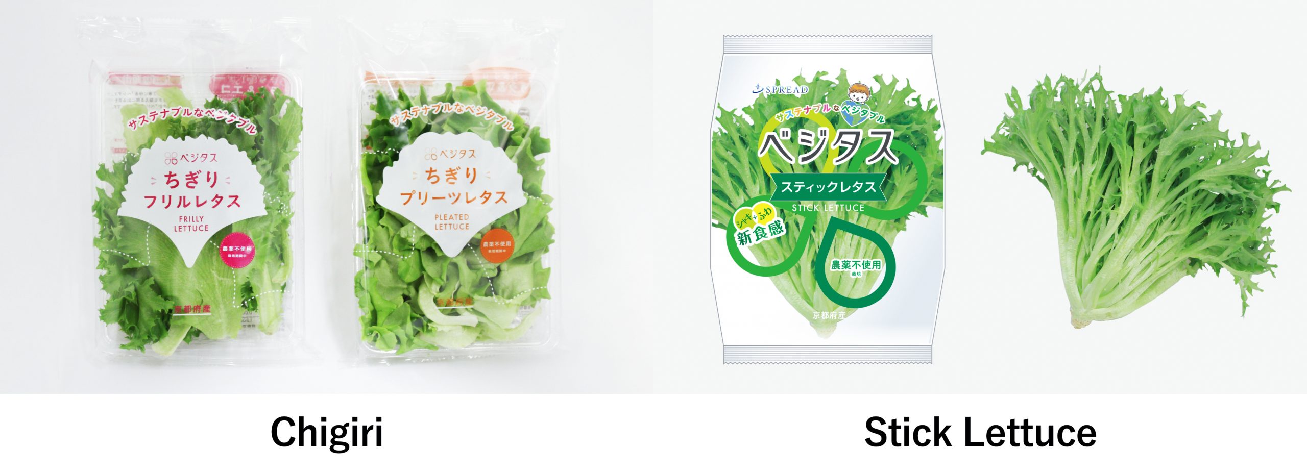 An image of Chigiri and Stick Lettuce products