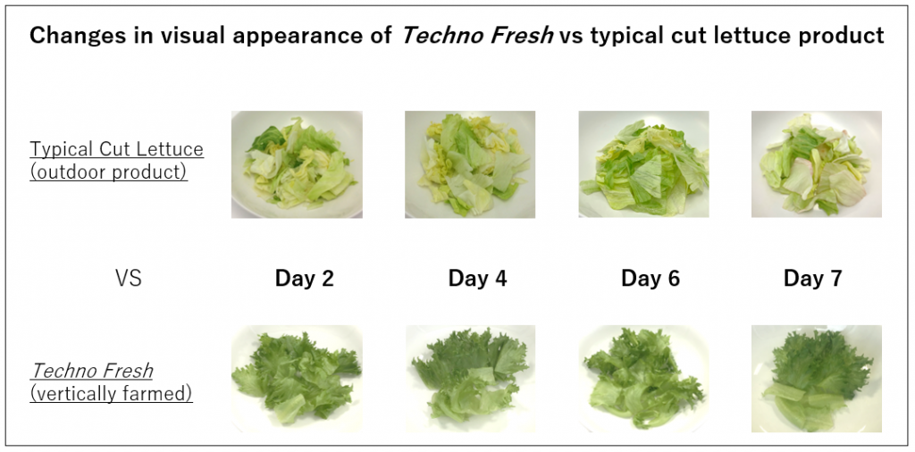 Comparison of changes over time in visual appearance of Techno Fresh vs typical cut lettuce